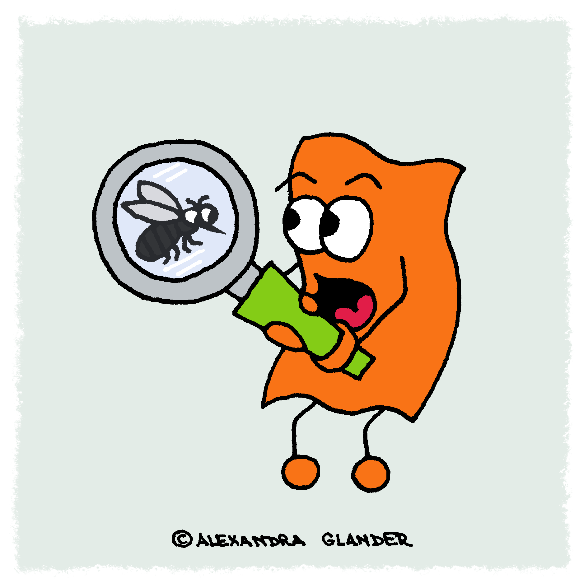 J_mit Muecke unter Lupe